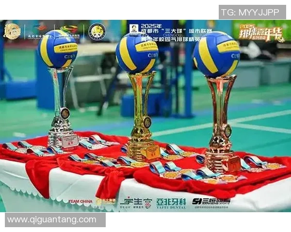 排球战术排名：成都排球队创新高