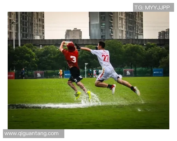 最新飞盘团队协作TOP10：深圳飞盘队领跑